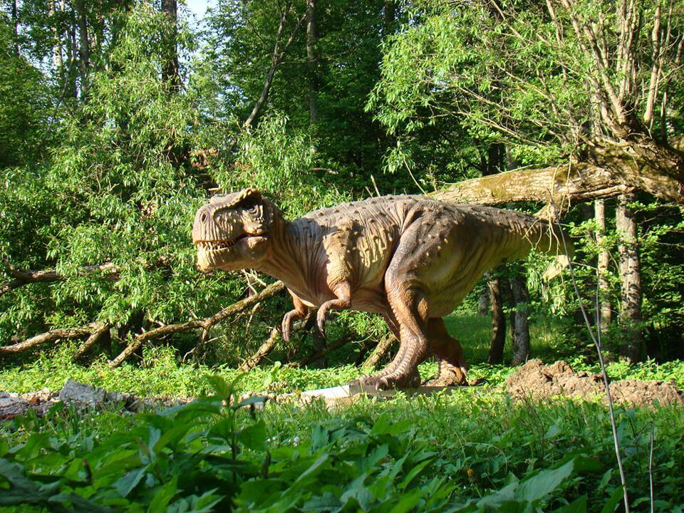 Самый большой парк Динозавров в Балтии